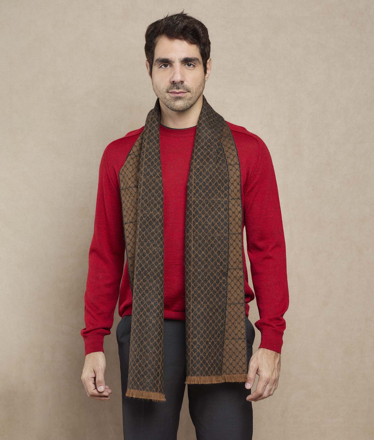 Fences Scarf