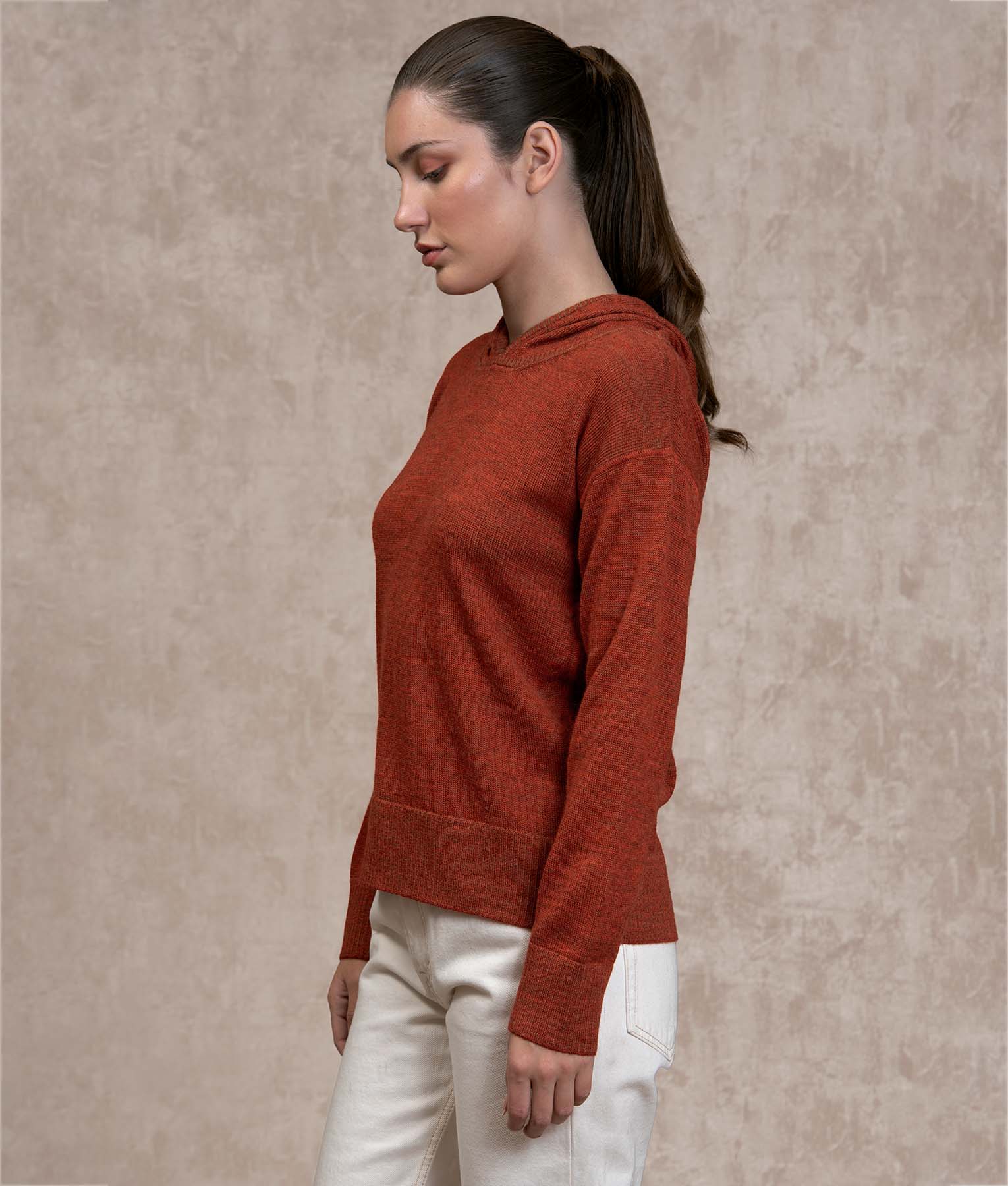 Oversize Sweater - Mocha And Bossa Nova Bisque