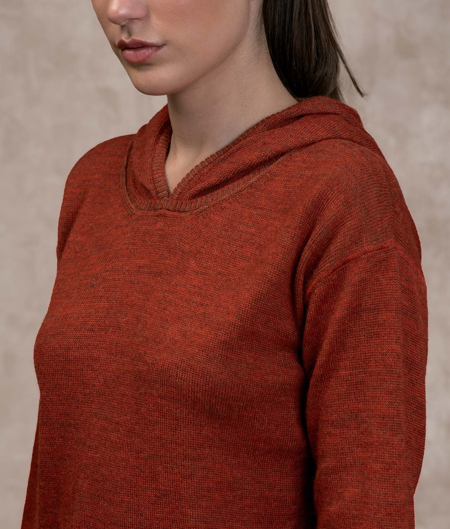 Oversize Sweater - Mocha And Bossa Nova Bisque