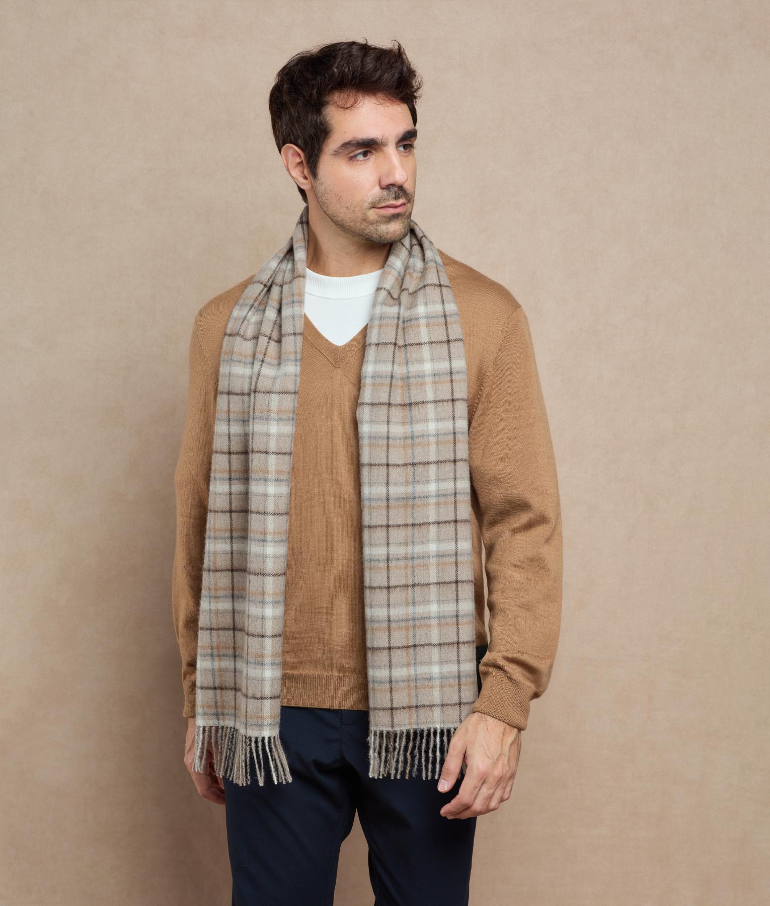Classic Check Print Scarf