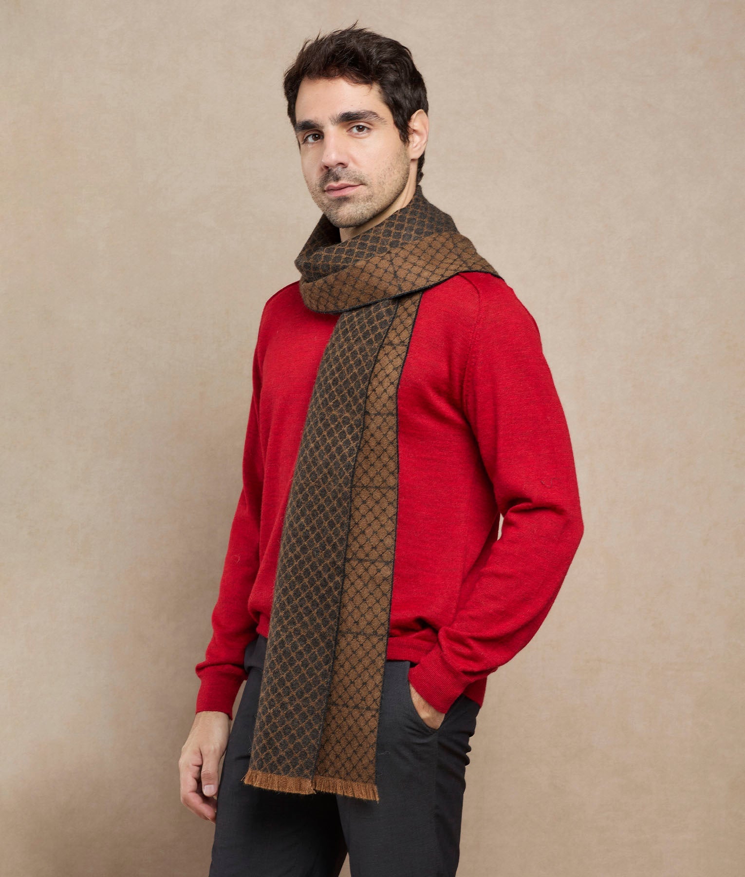 Fences Scarf